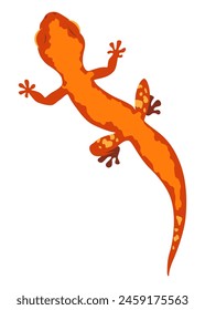 Icono de lagarto. Anfibio decorativo colorido tropical. Personaje de la fauna en la vida silvestre o zoológico. Criatura colorida de la fauna aislada en Ilustración vectorial blanca