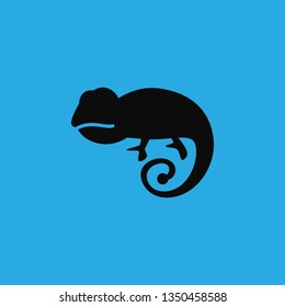 lizard icon vector