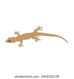 lizard icon vector illustration design template