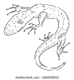 Lizard icon. Vector illustration of a lizard. Hand drawn lizard.