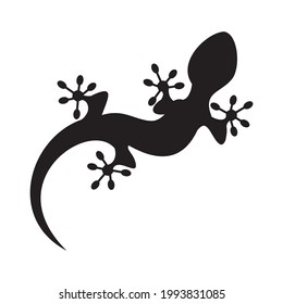 Lizard  icon vector illustration symbol