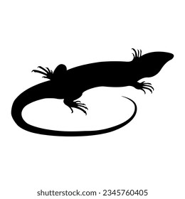 Lizard icon vector. Reptile illustration sign. cold blooded symbol or logo.
