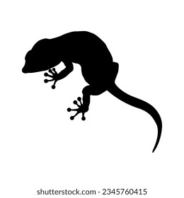 Lizard icon vector. Reptile illustration sign. cold blooded symbol or logo.