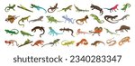 Lizard icons set cartoon vector. Chameleon gecko. Iguana skin