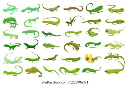 Lizard icons set. Cartoon set of lizard vector icons for web design