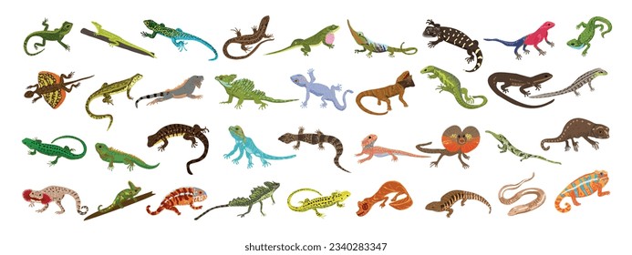 Lizard icons set cartoon vector. Chameleon gecko. Iguana skin