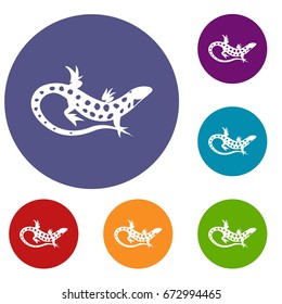 Lizard icons set in flat circle reb, blue and green color for web