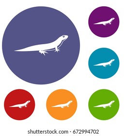 Lizard icons set in flat circle reb, blue and green color for web