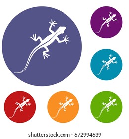 Lizard icons set. Flat illustration of lizard icons set vector circle reb, blue and green color for web