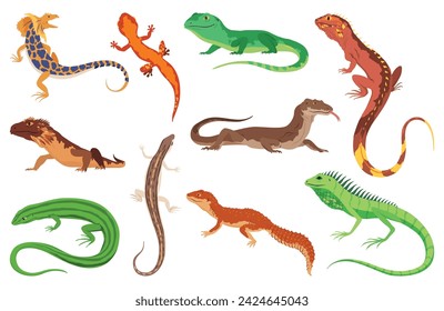 Lizard icons set. Tropical colorful decorative amphibian. Fauna characters in wildlife or zoo. Wildlife colorful creatures isolated on white vector illustration