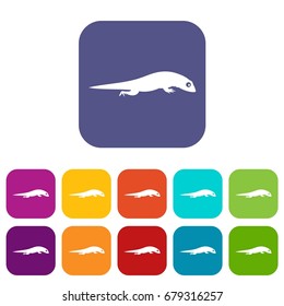 Lizard icons set vector illustration in flat style In colors red, blue, green and other
