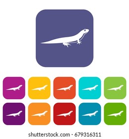 Lizard icons set vector illustration in flat style In colors red, blue, green and other