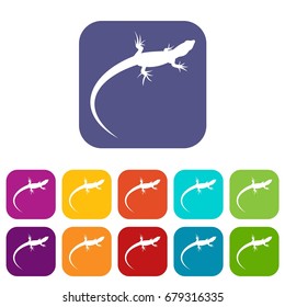 Lizard icons set vector illustration in flat style In colors red, blue, green and other