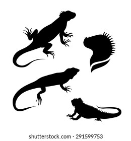 Lizard iguana set of silhouettes vector. Collection of animal icons.  Illustrations in different poses.