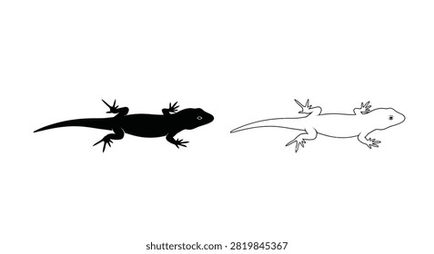 Lizard Illustrations With Black Silhouette On White Background