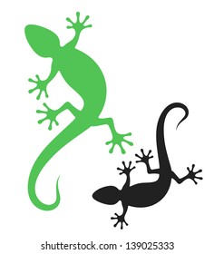  Lizard. Isolated animals on white background