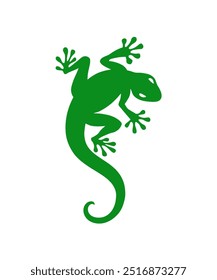 Lizard isolated on transparent background