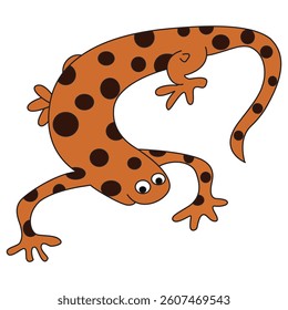 Lizard isolated on white background