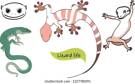 Lizard life art
