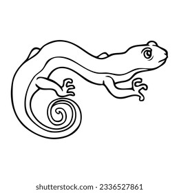 lizard line vector illustration,isolated on white background,top view