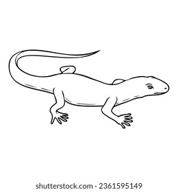 lizard line vector illustration,isolated on white background,top view