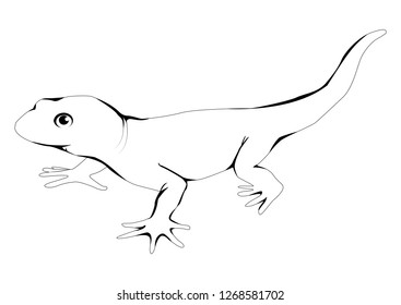 Lizard Logo Black White Stock Vector (Royalty Free) 1268581702 ...