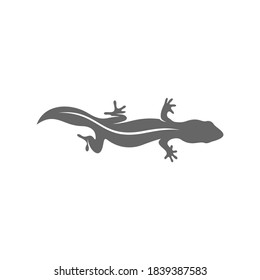 Lizard logo design vector template, Illustration design Lizard, Symbol Icon