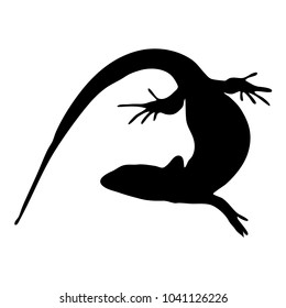 lizard logo icon vector illustration