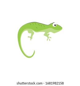 Lizard Logo Vector Design Templates