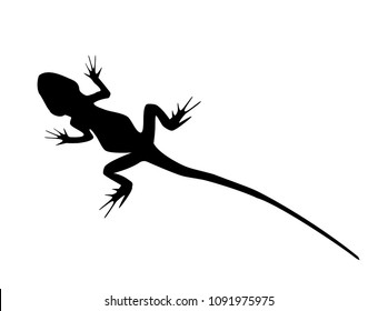 Lizard with long tail wild animal black silhouette isolated on white background. Simple outline drawn reptile, logo icon vector illustration, eps 10