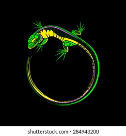 lizard  on a black background