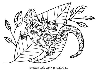 a lizard on the leaves drawn by hand on a white background, vector for coloring