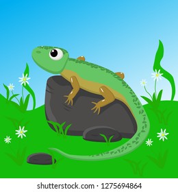 lizard on stone - vector  illustration, eps 
