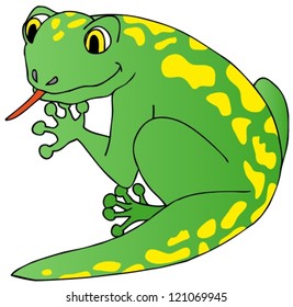 Lizard on white background - vector illustration.