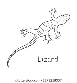 Lizard outline icon. Hand drawn vector lacertian isolated on white background. Sketch of Salamander Lizard. Animal in doodle style, line art, contour drawing. Vector illustration