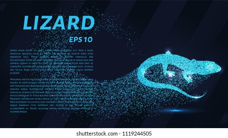 Lizard of particles. The lizard consists of small circles and dots