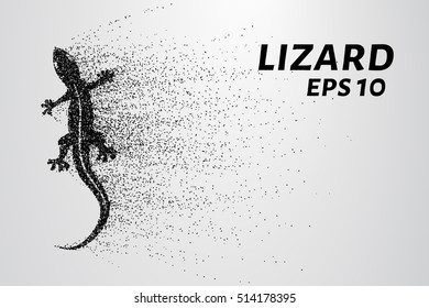 Lizard of particles. The lizard consists of small circles and dots. Vector illustration