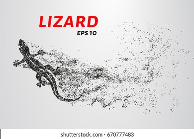 Lizard of particles. Silhouette of a lizard is of little circles