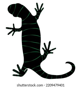 Lizard reptile gecko black and colour stripes silhouette vector illustration. Simple black silhouette illustration isolated on white background. Template for books, stickers, posters, cards, clothes.