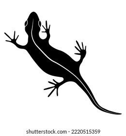 Lizard reptile gecko black silhouette vector illustration. Simple black silhouette illustration isolated on white background. Template for books, stickers, posters, cards, clothes.