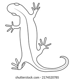 Lizard reptile gecko outline vector illustration. Simple line art illustration isolated on white background. Template for books, stickers, posters, cards, clothes.