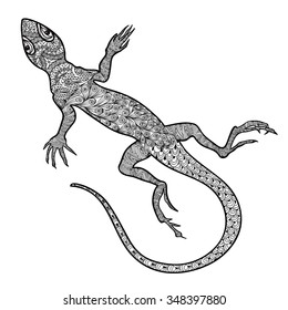 Lizard reptile isolated. Patterned ornamental salamander front view
