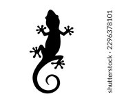 Lizard salamander animal. Vector image