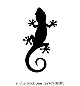 Lizard salamander animal. Vector image