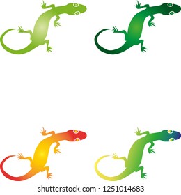 Lizard, salamander, gecko in different colors collection