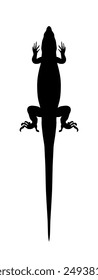 lizard or salamander symmetric black silhouette, isolated simple icon. Reptile template, stencil. Monochrome chameleon symbol. Vector illustration