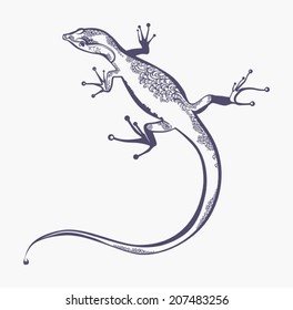 Lizard with a scaly pattern. Beautiful graphics illustration.