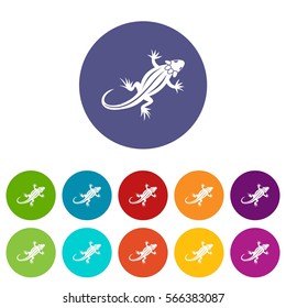 Lizard set icons in different colors isolated on white background