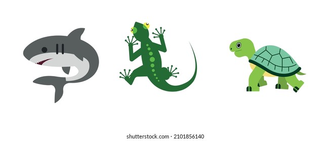 Lizard, shark, tirtle vector flat icon. 