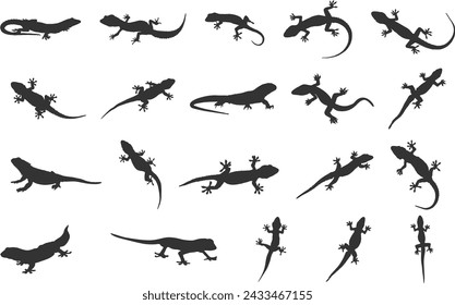 Lizard silhouette, Gecko lizard silhouette, Gecko silhouettes, Gecko lizard clipart, Lizard vector set